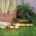 Hộp nến tealights 20 cái R.I.D NQM 2271